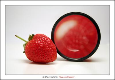 24_01_06 - Focus on Red2
