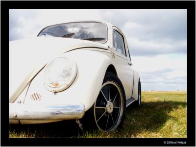 Prestwold Bug 1.jpg