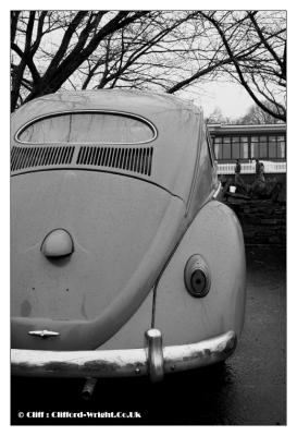 Early_Bug
