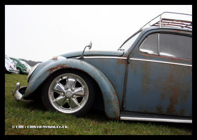 Rusty_Bug_2