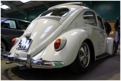 White_Bug