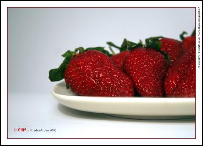 g3/79/562879/3/58525235.10_04_06Strawbs.jpg