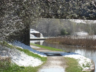 Near Coseley 6th April 2008