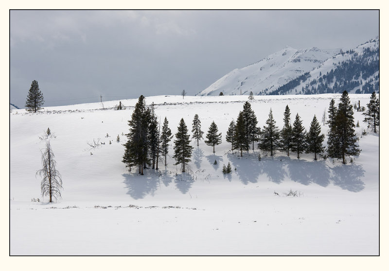 20080425_Yellowstone_0077.jpg