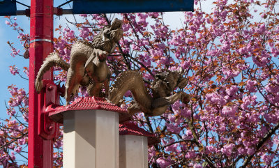 20100408_Vancouver_0044.jpg