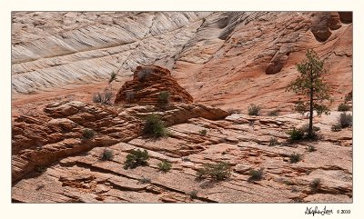 20100516_Zion_0035.jpg