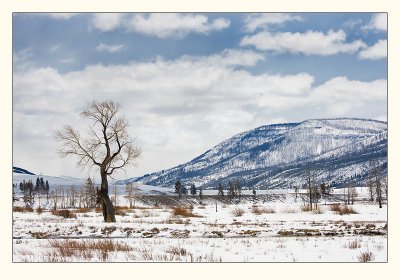 20080426_Yellowstone_0081.jpg