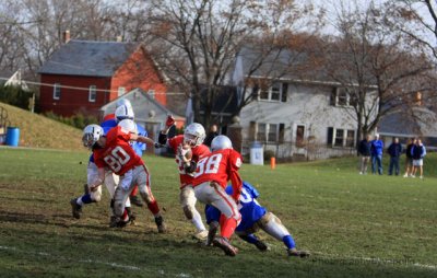 Pigeon Bowl 150.jpg