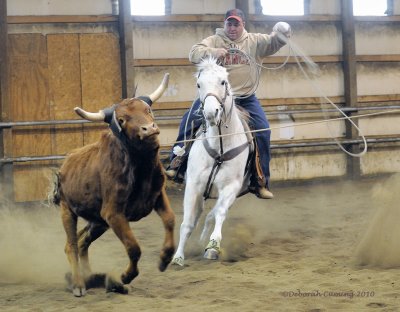 Indoor Roping Practice