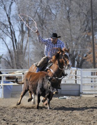 Spring Roping