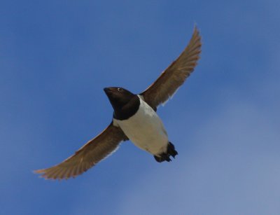IMG_3869a.jpg