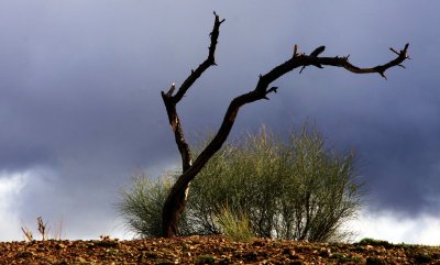IMG_7787a.jpg