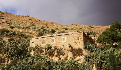 IMG_7818a.jpg