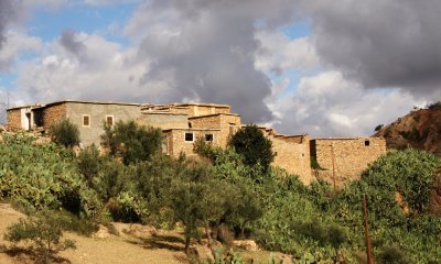 IMG_7819a.jpg