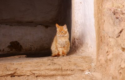 IMG_7853a.jpg