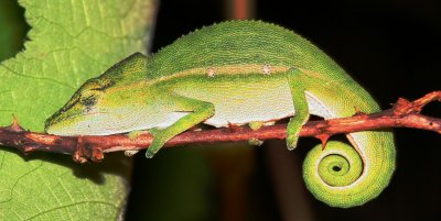 IMG_0002a.JPG