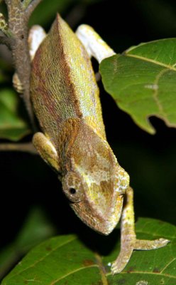 IMG_0176a.JPG