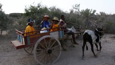 We met lots of people in zebu carts on the road from Anakao to Tsimanampetsotsa. Many of the women had interesting hats.