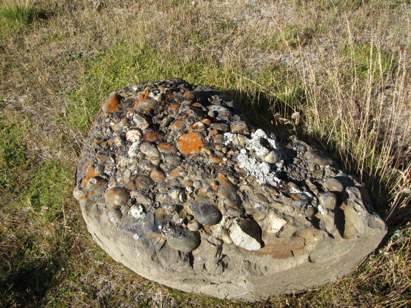 conglomerate rock