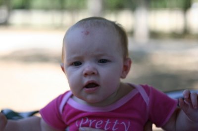 IMG_6074_1.jpg