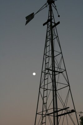 IMG_3416_1.JPG