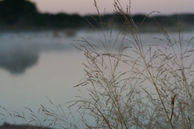 IMG_3430_1.JPG