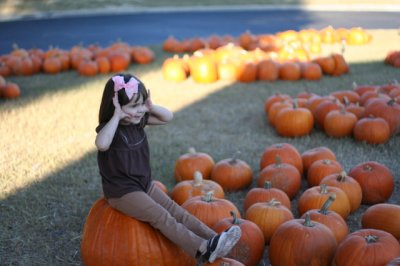 IMG_3512_1.jpg