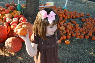 IMG_3536_1.jpg