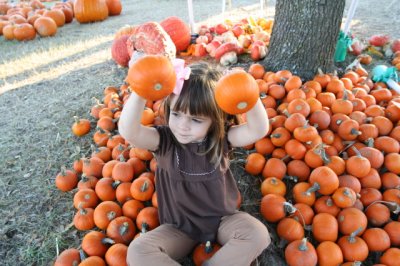 IMG_3543_1.jpg
