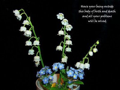 g3/79/738779/3/111689065.gvQgup2A.jpg