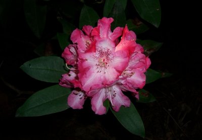 g3/79/738779/3/112345373.ipxHq9wq.jpg