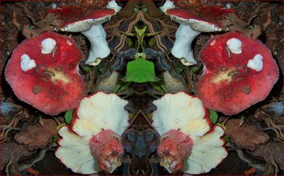 g3/79/738779/3/119741055.bQPr6ZSN.jpg