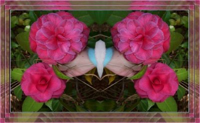 g3/79/738779/3/123179500.JbX2CgzA.jpg