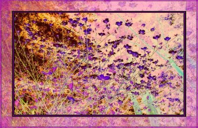 g3/79/738779/3/73441322.32d1odLt.jpg