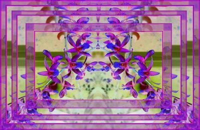g3/79/738779/3/74171796.NDDlia3R.jpg