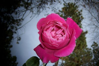 g3/79/738779/3/89470050.zE6Bx7KA.jpg