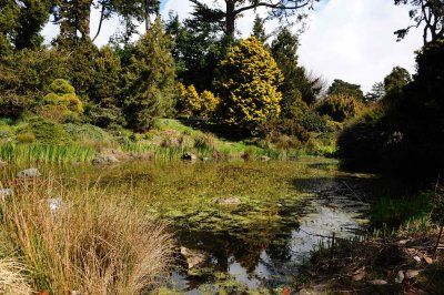 Golden Gate Park