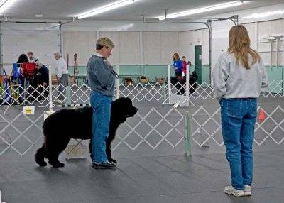 Annie Halatek and Maya work under Jenny Zablotny's watchful eyes