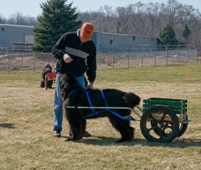 Chris Halatek & Maya practice for the Draft Test