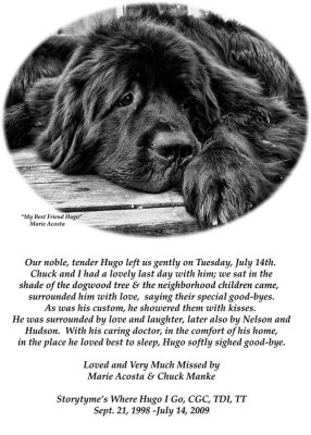 Farewell_Hugo.jpg