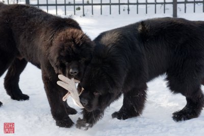 It's mine!