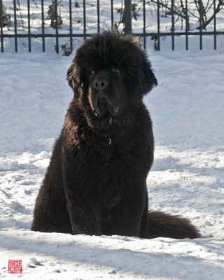 Hudson considers going indoors...