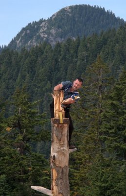 Lumberjack Guy
