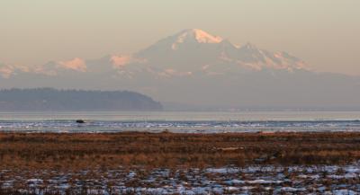 Mt Baker (WA) from 72 St Dyke Trail (Ladner, BC)