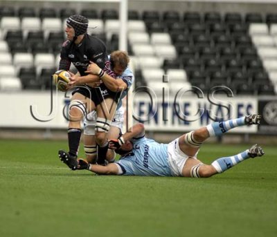 Ospreys v Leicester2.jpg