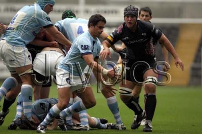 Ospreys v Leicester19.jpg