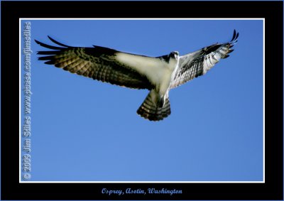 YN6Y7113-copy-b.jpg