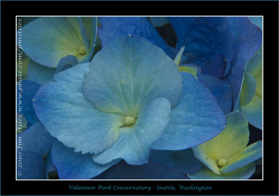 g3/79/794879/3/122344946.nm4EKI0m.jpg
