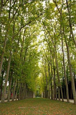 Les Chateaux de Versailles (F0078)