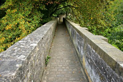 L0054_YN6Y5340-01.jpg